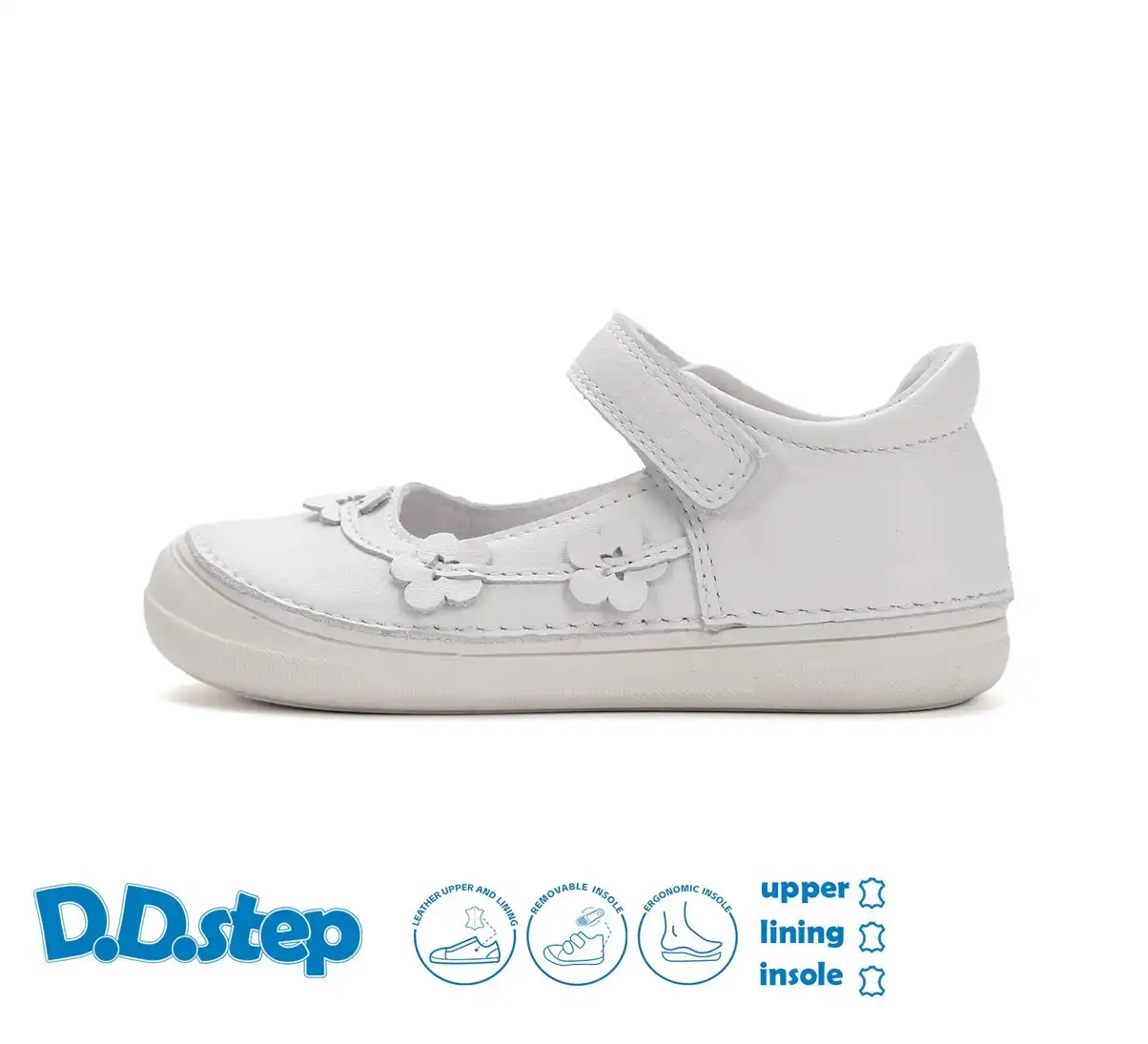 DG-H078-61856L.webp